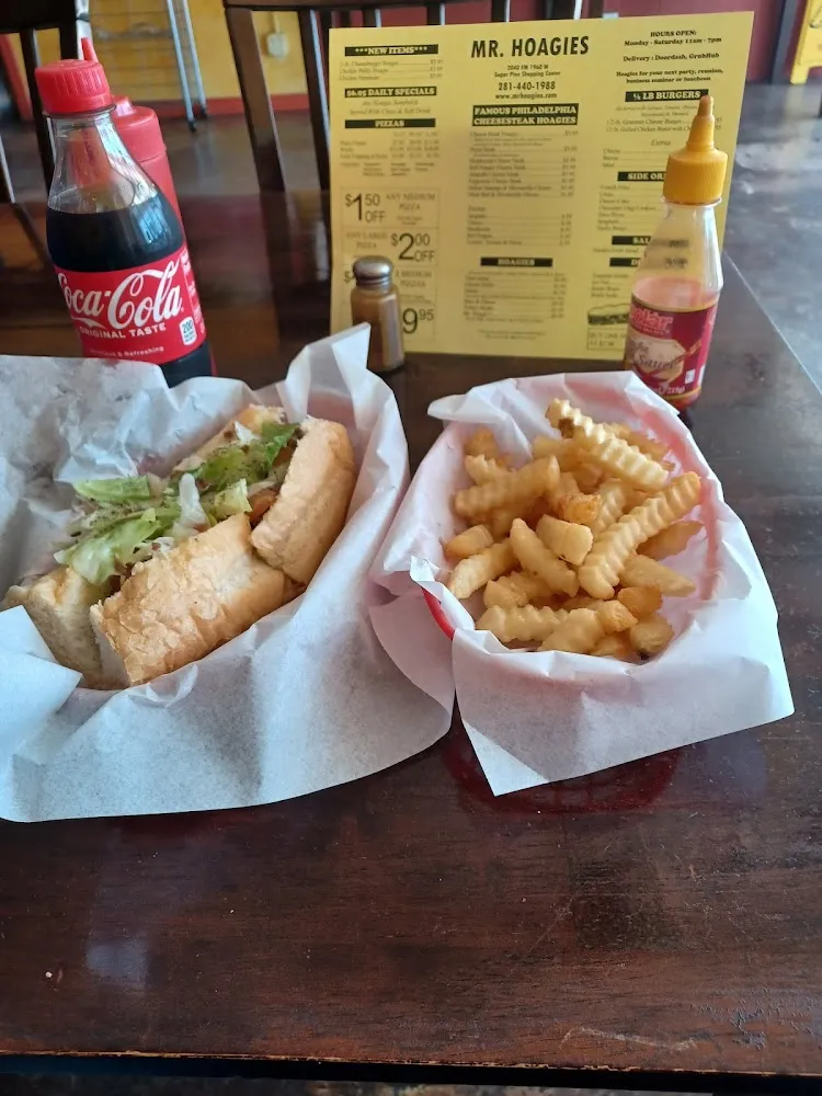 Cheesesteak and Fries